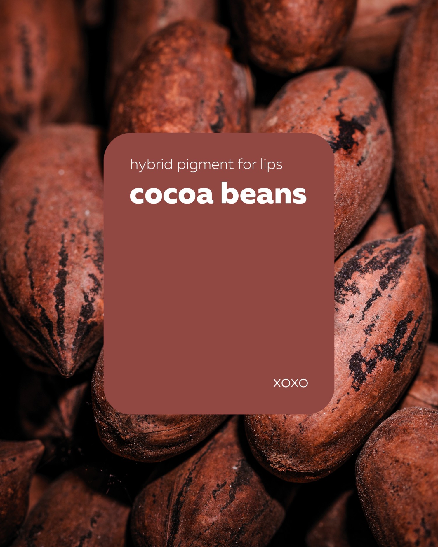 BROVI ტუჩის პიგმენტი cocoa beans